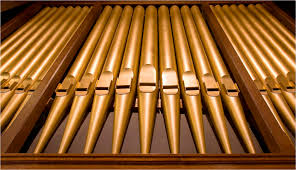 organ-pipes