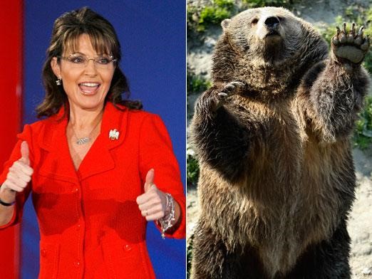 bears-palin