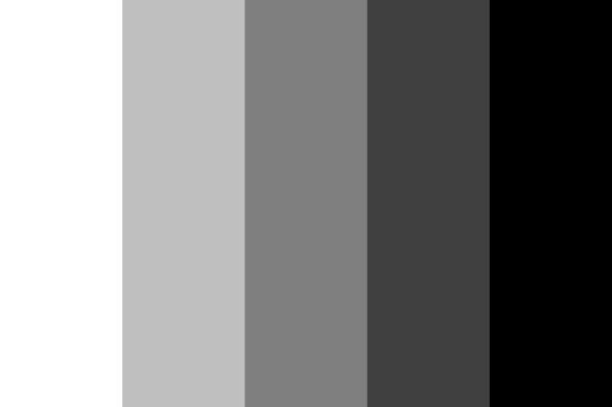 gray pallette